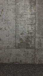 QMR-013