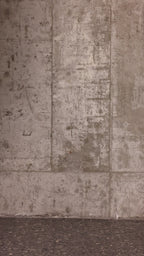 QMR-029