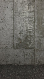 QMR-019